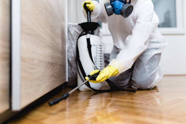 Best Affordable Pest Control Services  in Auxvasse, MO
