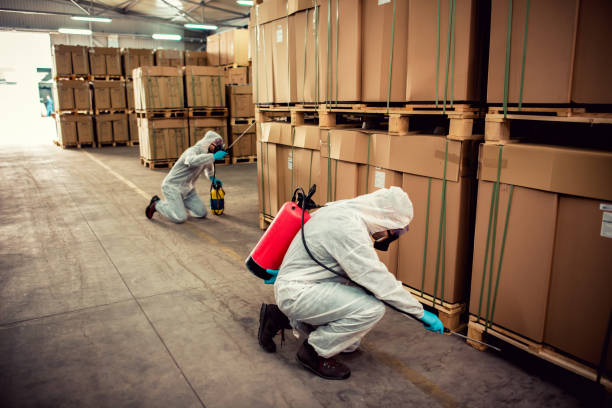 Best Wasp Removal Services  in Auxvasse, MO