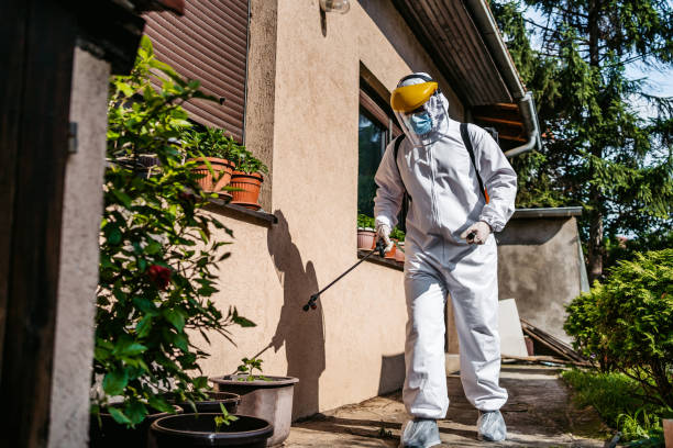 Best Wasp Removal Services  in Auxvasse, MO