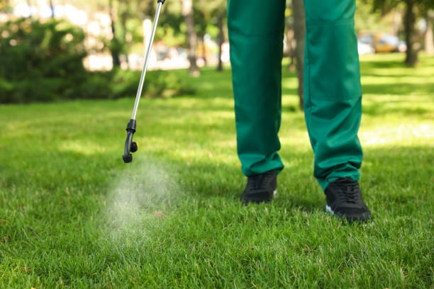 Best Affordable Pest Control Services  in Auxvasse, MO