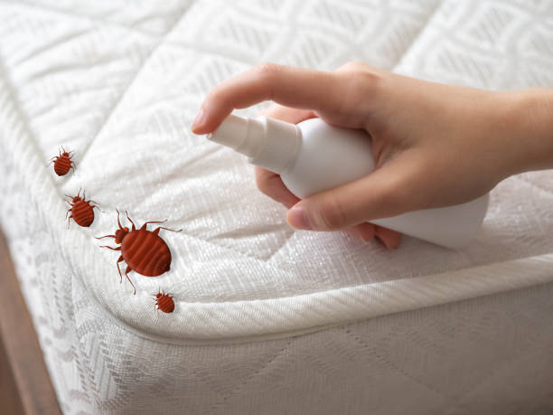 Best Best Pest Control Companies  in Auxvasse, MO