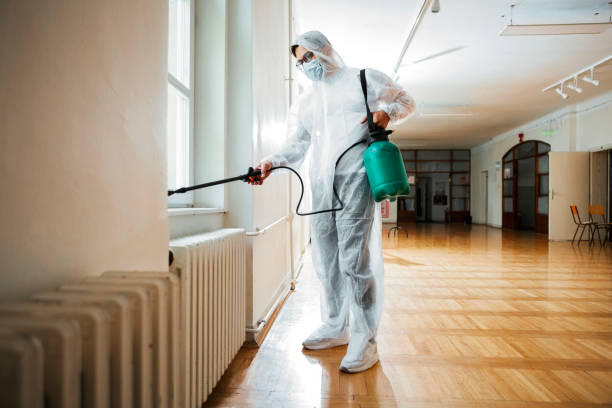 Best Insect Control  in Auxvasse, MO