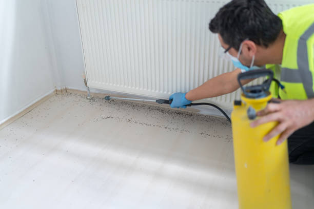 Best Pest Control for Homes  in Auxvasse, MO