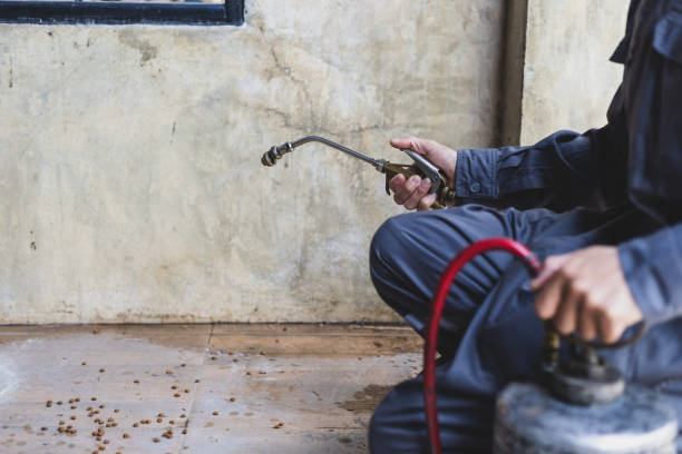 Best Best Pest Control Companies  in Auxvasse, MO